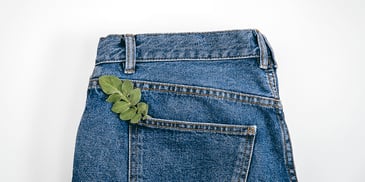 jeans against white background with leaf sticking out of pocket