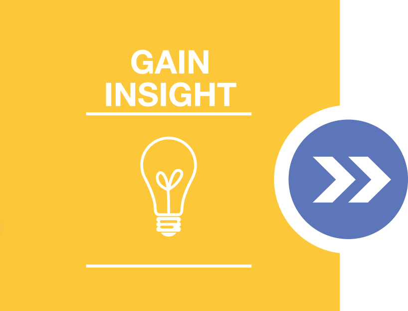 First Insight Implementation Process First Insight